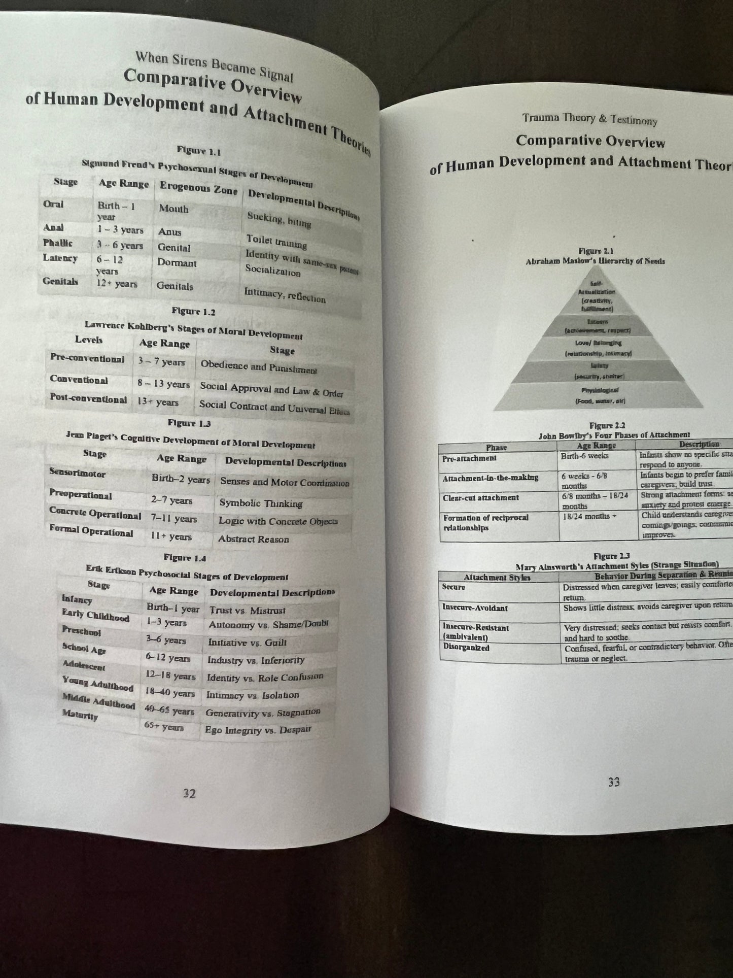 Trauma Theory & Testimony: (eBook)